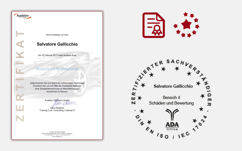 Audatex Schadenberechnung an Motorfahrzeugen Basic & Professional Audatex Schadenberechnung an Motorfahrzeugen Basic & Professional