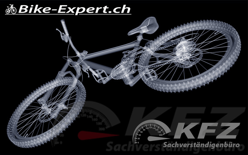 Der Bereich Pedelec / E-Bikes gehört als zweiradaffiner Spezialist mit dazu. Siehe auch HIER! Der Bereich Pedelec / E-Bikes gehört als zweiradaffiner Spezialist mit dazu. Siehe auch HIER!